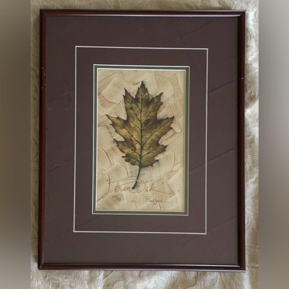 Limited Edition Pin Oak Print Signed. French & Double Matted